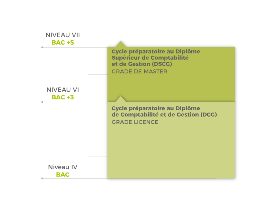 Schéma filière - Expertise Comptable Schéma filière - Expertise Comptable