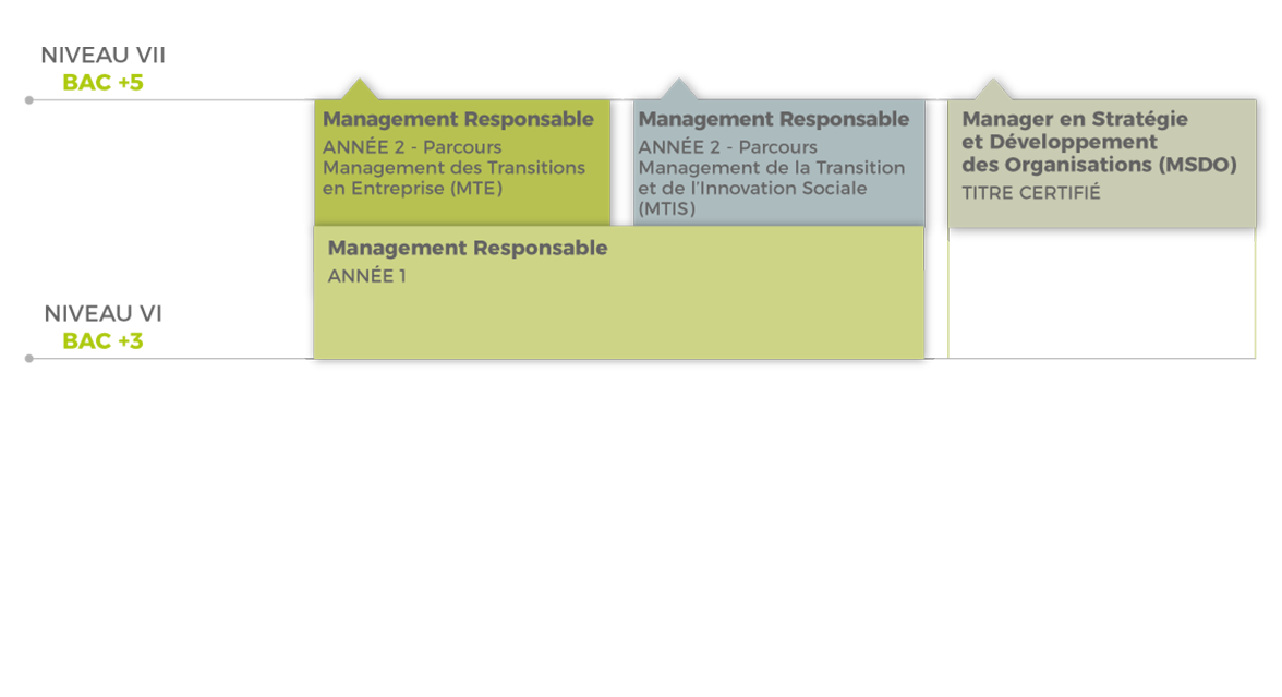 Schéma filière - Stratégie et Management Schéma filière - Stratégie et Management