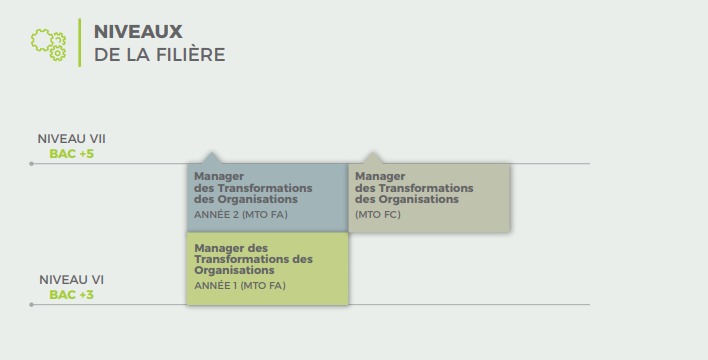 Schéma filière - Stratégie et Management