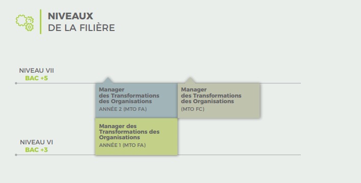 Capture web_10-11-2022_152120_ Schéma filière - Stratégie et Management
