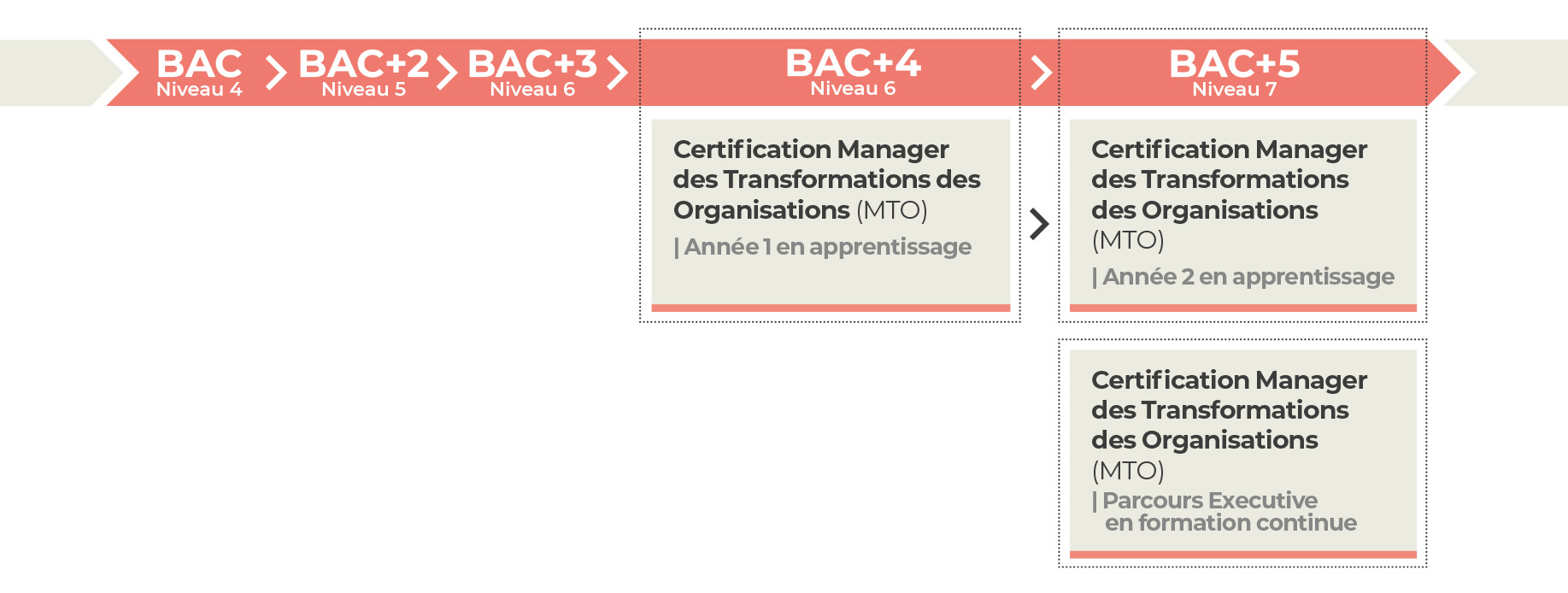 Filière Stratégie et Management